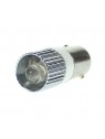 131649 BA9S Single-led 130V AC Blanche