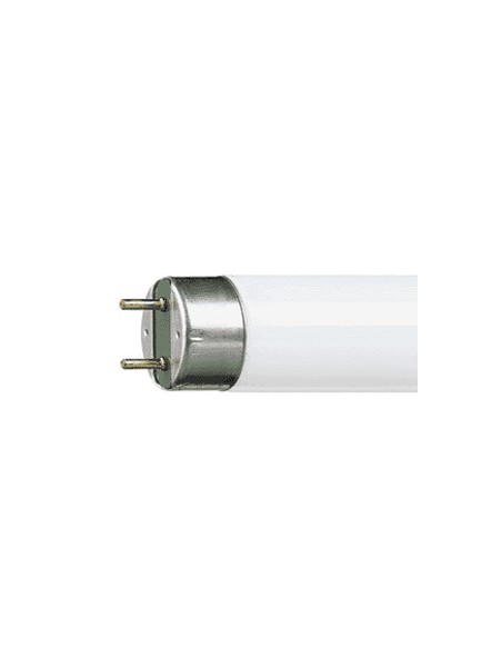 455365 G13 Tube Fluorescent 36w 5400K 954 Lumière du Jour OSRAM