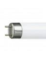 4510100264640 G13 Tube Fluorescent 32w ECO 6500K /865 Lumière du Jour